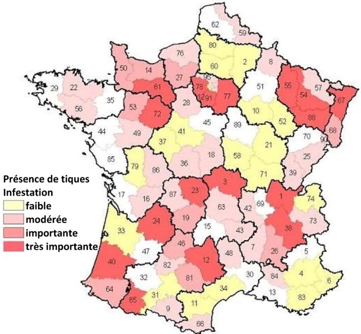 Carte des tiques en France